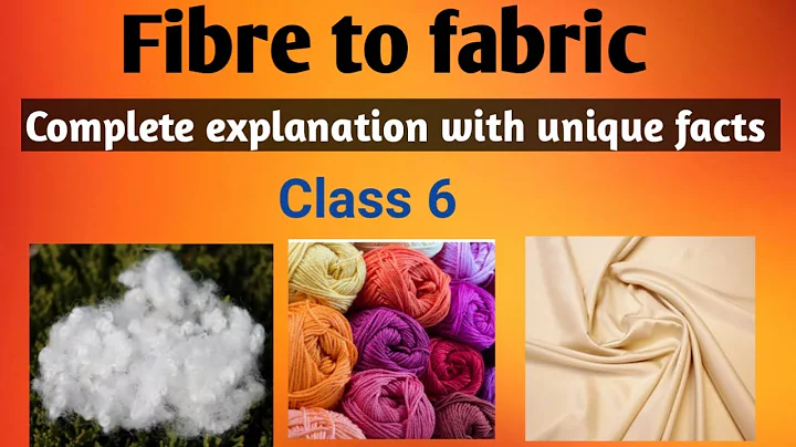 Fibre to fabric / class 6 / science chapter 3/  All type of plant fibres