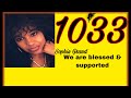 1033 Angel Number (We are Blessed andSupported)