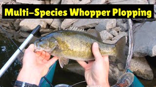 Multi-Species Whopper Plopper Fishing (5 Species Caught!)