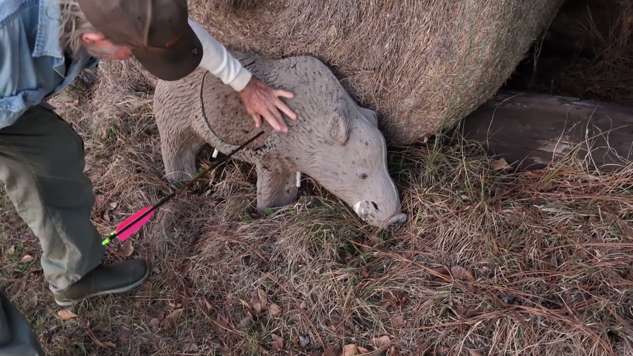 Тренировка по стрельбе из лука | Стрельба из длинного лука Black Widow PLX.