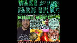 Famous WTFU • Ethan Swift • Island Sharks Chocolate, Theobroma cacao, PonoCacoa, Chocolate Sommelier School Net Worth