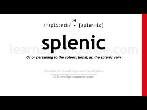 Pronunciation of Splenic | Definition of Splenic