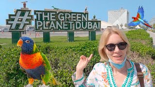 Стоимость Дубая и &quot;The Green Planet&quot;