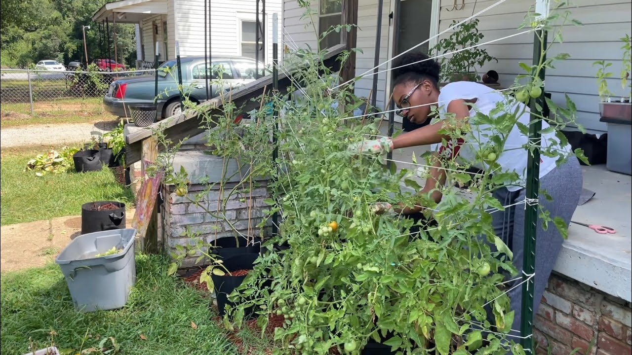 Resetting The Garden For Fall Garden Clean Up YouTube resetting-the-garden-for-fall-garden-clean-up-youtube