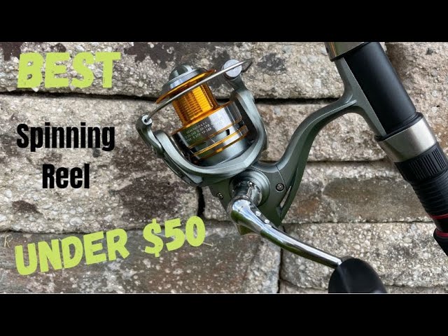 Fishing Pole Best Spinning Reel Under $50 2020 Pflueger President Spinning Reel Fishing Pole Best Spinning Reel Under $50 2020 Pflueger President Spinning Reel