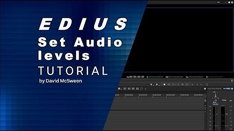 Edius Setting group Audio Levels