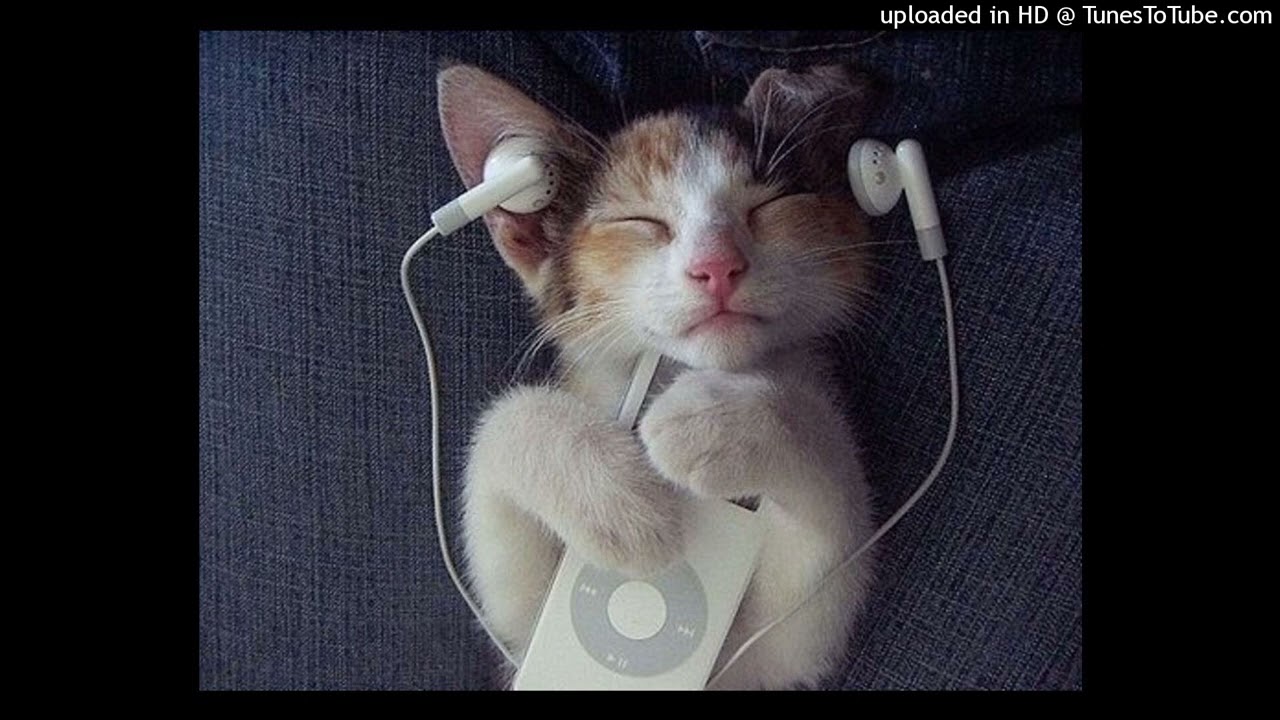 free for profit maajins x luhpray x rexv2 type beat 