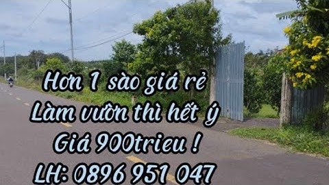 Cần tiền làm ăn anh An cần bán 1 sào đất nông nghiệp tại Xã Láng Lớn đường nhựa gần Trung Tâm Xã !