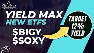 YieldMax NEW Target 12% Yield ETFs: BIGY SOXY | Stable 12% Yield + Growth!