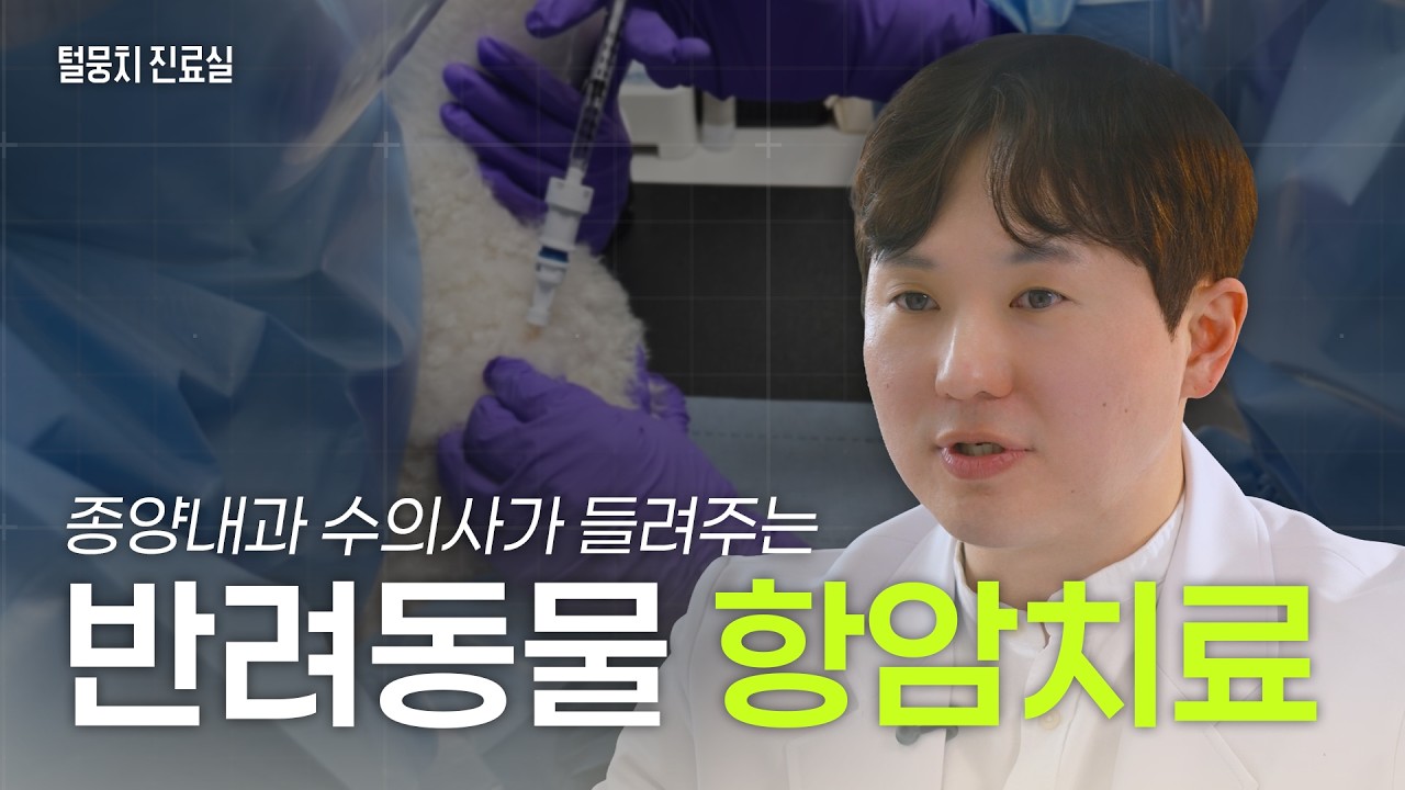 [본바이오메드] 털뭉치진료실 l 인터뷰영상 l 가이드영상 l 유튜브콘텐츠