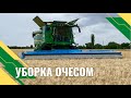 Уборка очёсывающей жаткой | На что обратить внимание