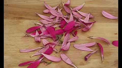 NATURALLY OPTIMISTIC-Display.m4v