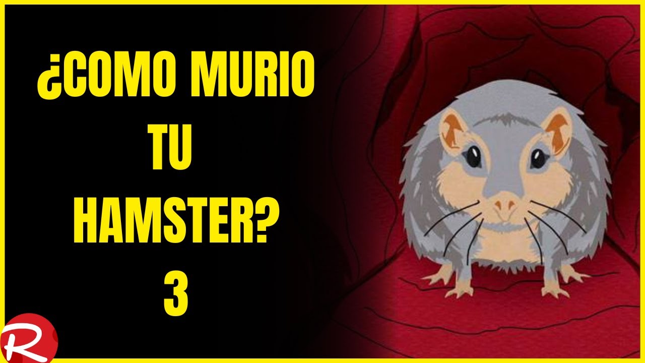 ¿Como murio tu hamster? 3