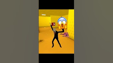 HIDE IN THE BACKROOMS / HIDE IN THE BACKROOM