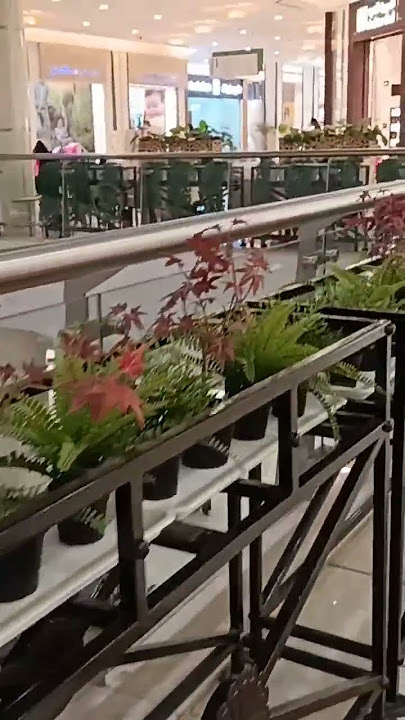 #mall #uae #shorts #shortvideo