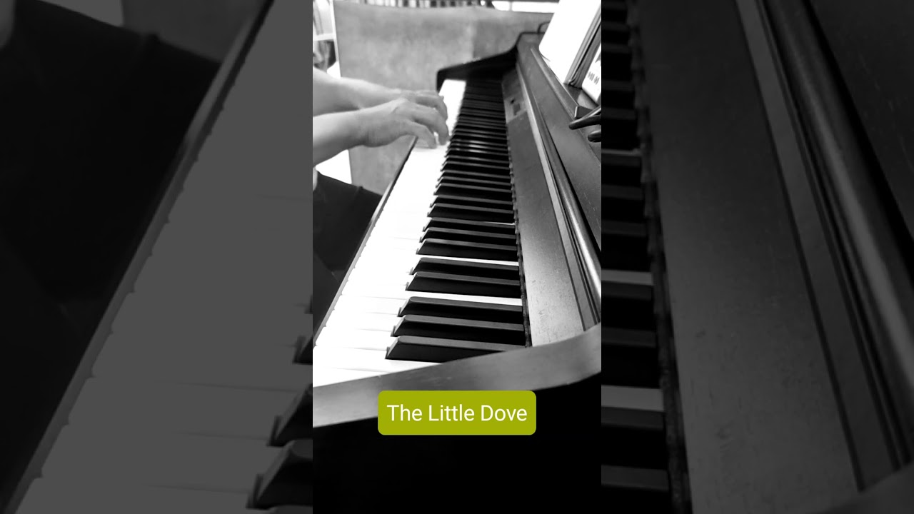 The Little Dove (Traditional Czech)