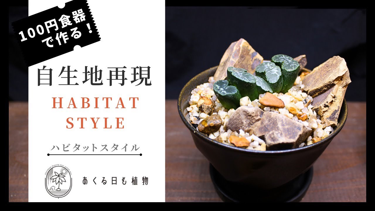 Habitat style with 100 yen tableware: 