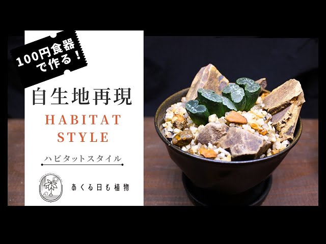 Habitat style with 100 yen tableware: 
