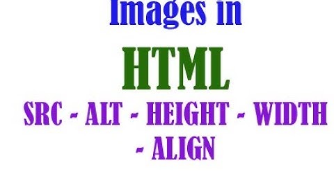 Standard | 10 | Chapter 3 | Handling Images in HTML | GSEB