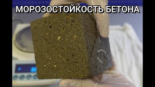 Морозостойкость бетона