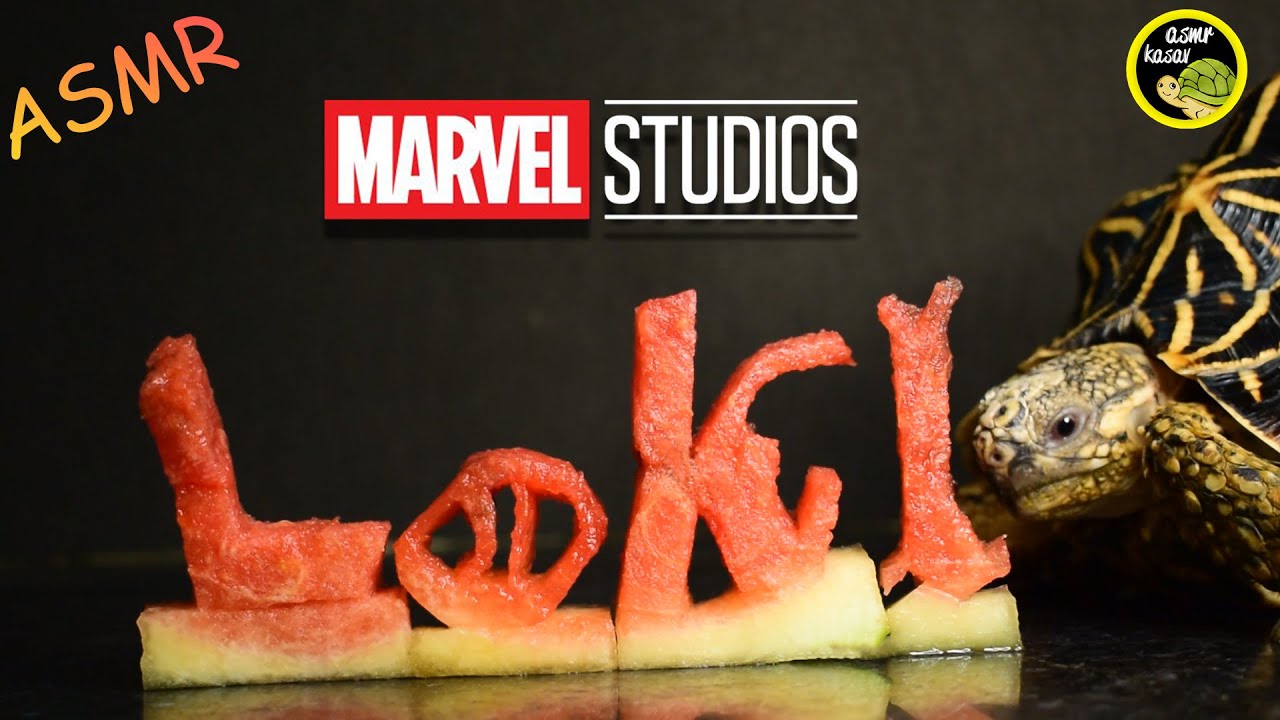 LOKI | 🐢 Tortoise Eating LOKI Logo ASMR Turtle 🐢 | KASAV ASMR 