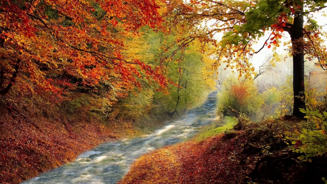 Autumn Creek YouTube