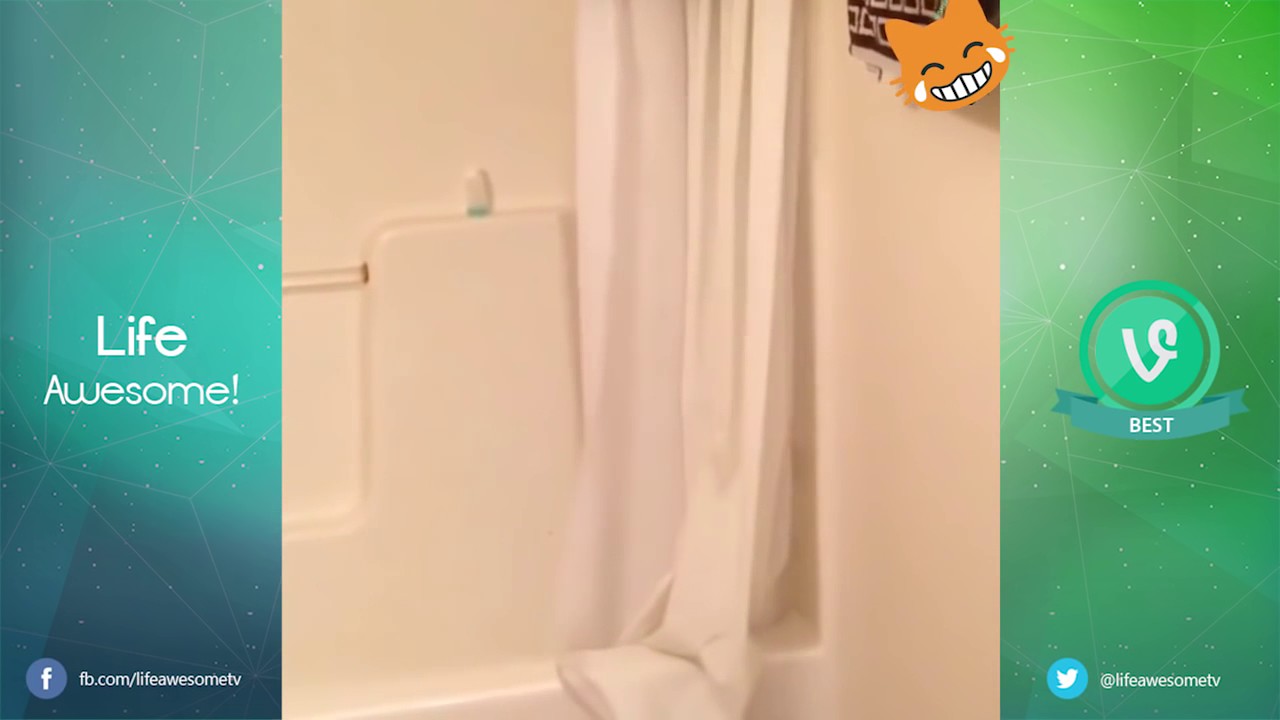 Funny Cats Compilation 2017 Best Cat Videos Ever| TRY NOT TO LAUGH