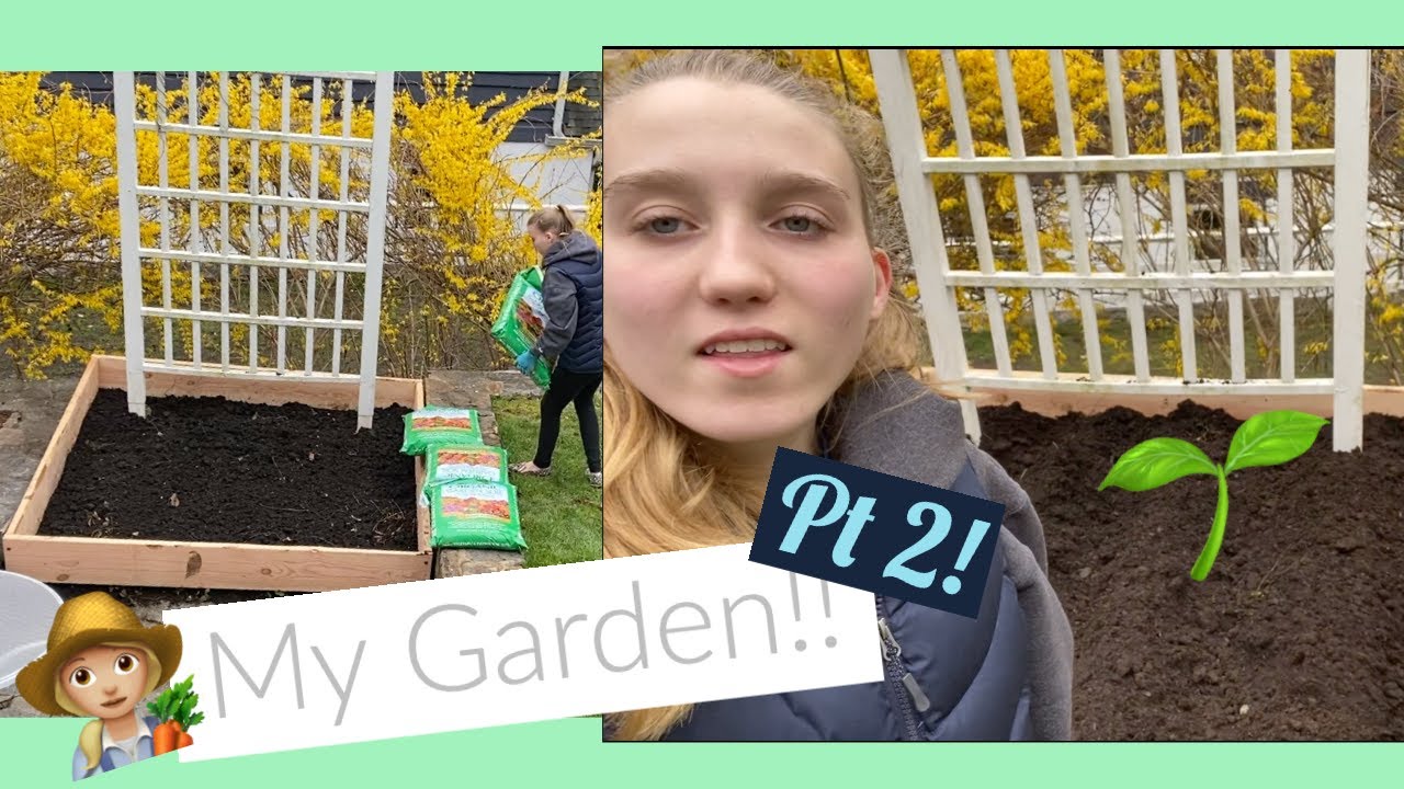 Quarantined: Working on my Garden Part 2 | The Sustainable Rose