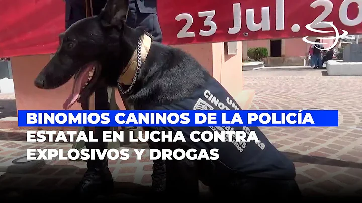 Binomios Caninos de la Policía Estatal en la Lucha Contra Explosivos y Drogas