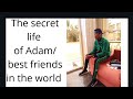 THE SECRET LIFE OF ADAM AKA EMMANUELESEIT(Best friends in the world)