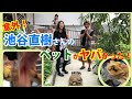 意外！池谷直樹さん家のペットがヤバかった！！