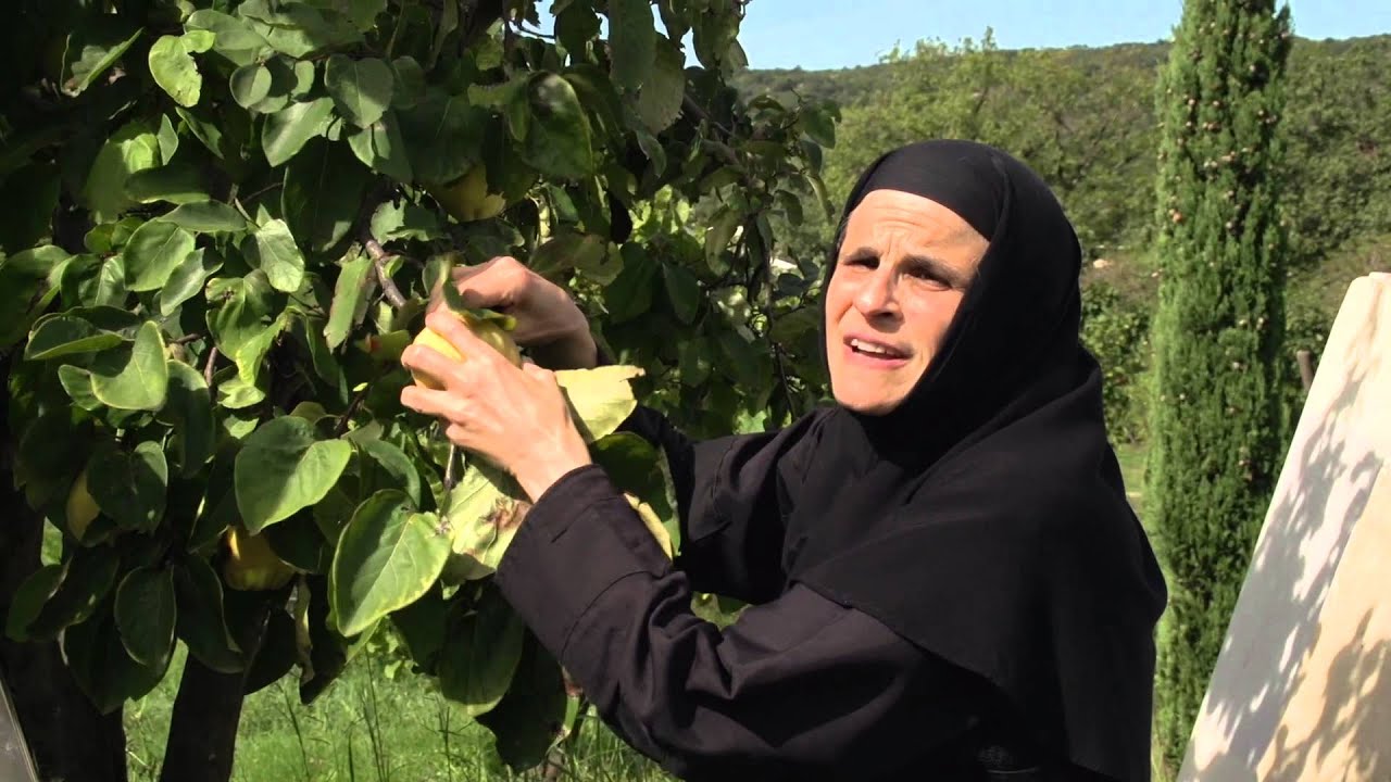 LA SAUVEGARDE DE LA CREATION DANS LA TRADITION ORTHODOXE