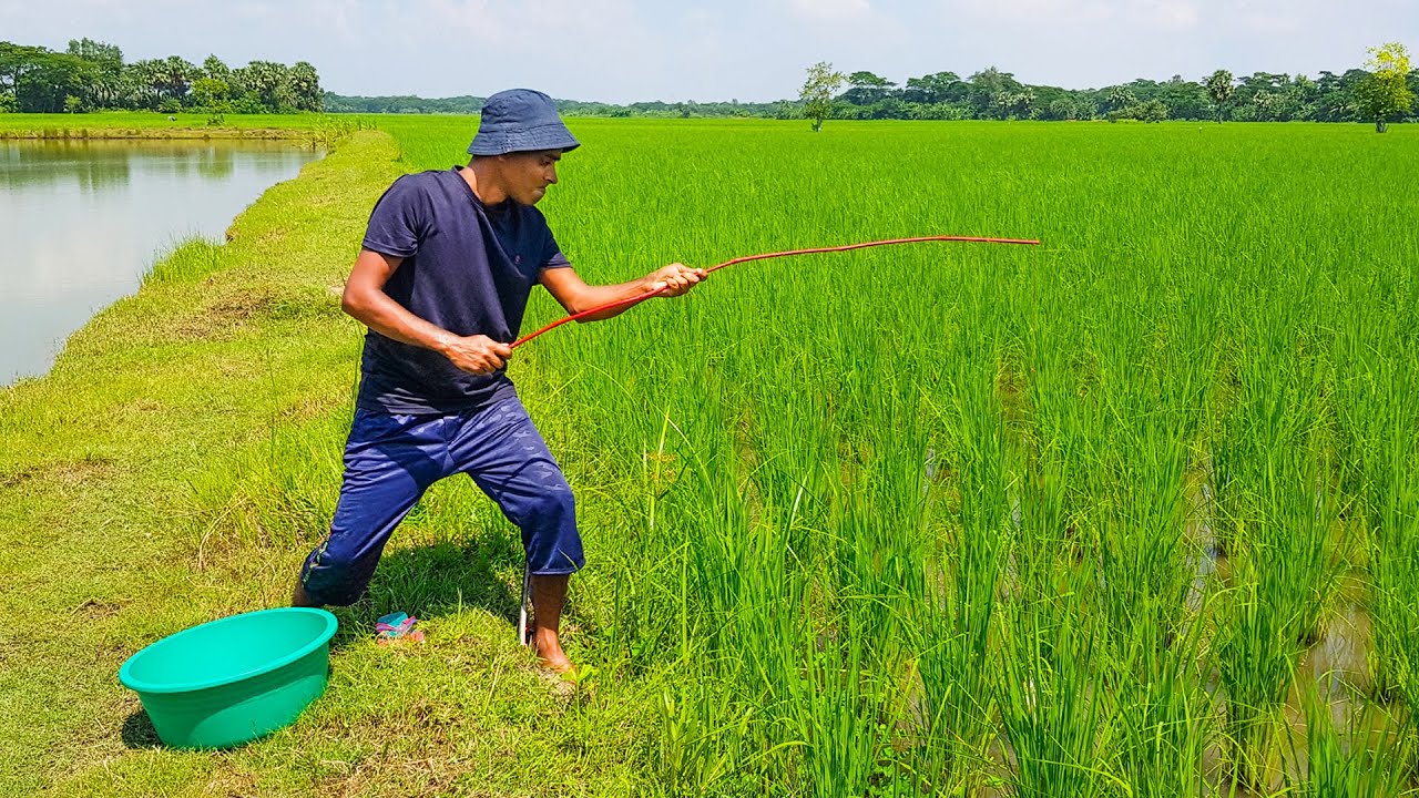 Incredible Hook Fishing Awesome Hook Fishing Classical Hook