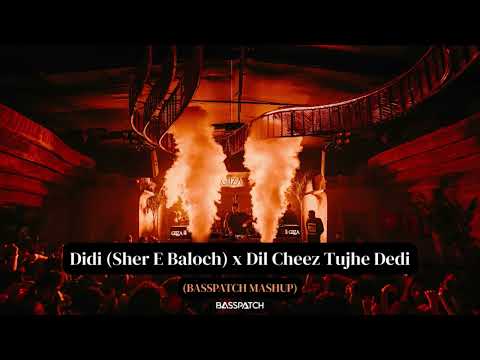 Didi (Sher E Baloch) x Dil Cheez Tujhe Dedi | Dhurandhar | Ranveer Singh | Viral Mashup