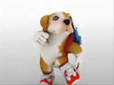 perro chacarron