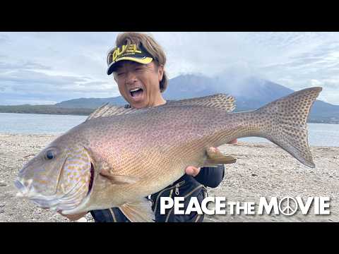 PEACE THE MOVIE #131「神瀬で神がかり!またもやモンスター登場?」九州地方・鹿児島県錦江湾の旅(後編)/平和卓也（1493）