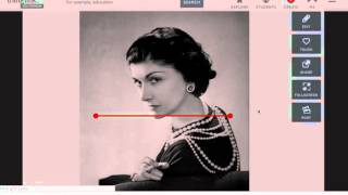 Building Your BL Timeline in ThingLink