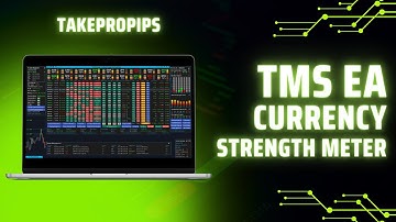 How to Use Currency Strength Meter - TakePropips TMS EA