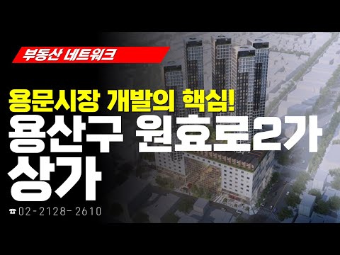 부동산 네트워크 : 서울시 용산구 원효로2가 <strong>상가</strong> (이규미부동산 정책연구소 <strong>이사</strong>)