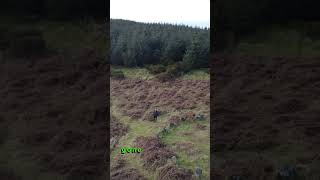 #ireland Hidden Solar Alignments: The #ancientsecrets of West Wicklow #megalithic