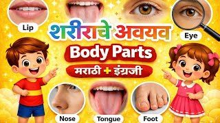 Body Parts Name in Marathi and English | 50  शरीराचे अवयव इंग्रजी व मराठीत (उच्चारासहित) | Body Part