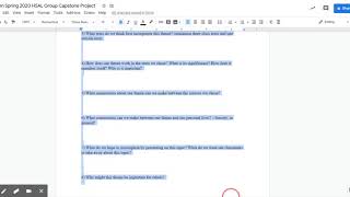 Blum Spring 2020 HSAL Group Capstone Project - Google Docs