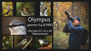 Olympus M.Zuiko Digital ED 300mm f/4 IS PRO +2x Teleconverter MC‑20