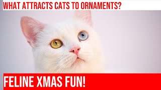 Cats & Christmas Ornaments: Holiday Hijinks! part 4 by Meow-sical America 66 views 4 months ago 5 minutes, 11 seconds