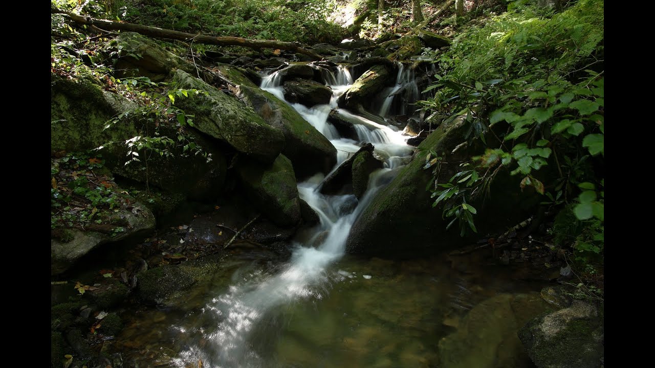 Gore Draft, Foley Draft - Wykoff Run Valley - Quehanna Wilds