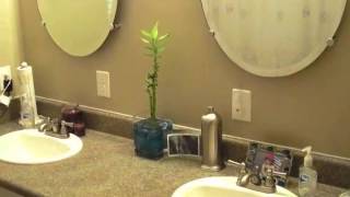125 Hummingbird Ln video tour
