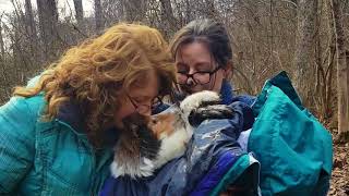 Life Saving Find by Missing Pet Search Dog