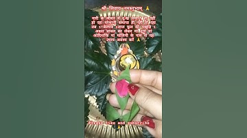 सोमवार की अष्टमी पर नारी का दुःख समाप्त करने का उपाय #pradeepmishrajikaupay #upay #katha #shorts