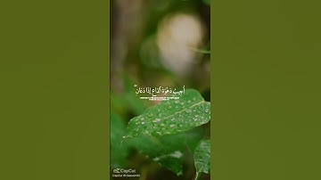 فارس عباد #تلاوة_خاشعة #اكسبلور #المصحف #faresabbad #حالات_واتس #قران_كريم #فارس_عباد