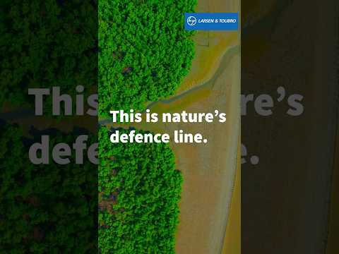 Restoring #coastal #ecosystems through #mangrove plantations. #BlueCarbon #LnTCares
